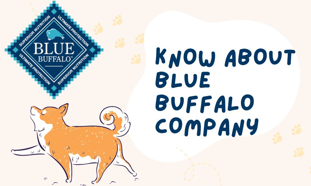 Everything You Need To Know About Blue Buffalo Company